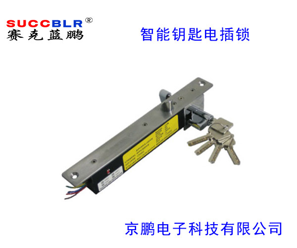 【智能鑰匙型電插鎖】賽克藍(lán)鵬SUCCBLR智能鑰匙型電插鎖SL-S203DW